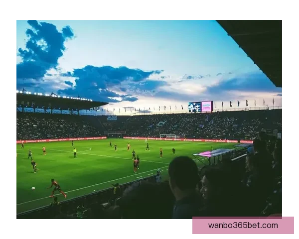 2026年世界杯投注攻略与热门球队分析，助您轻松预测赛事结果